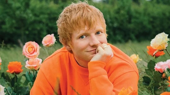 Ed Sheeran discloses that he has had a grave dug in his own backyard